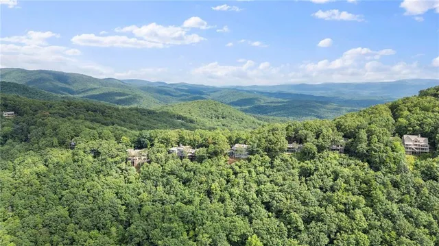 a view of a city with lush green forest