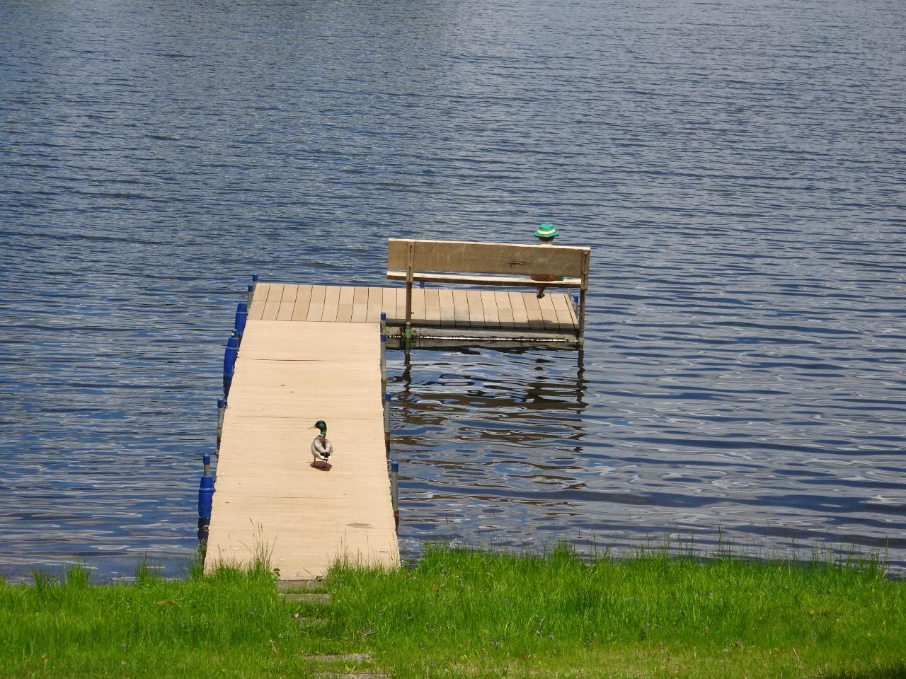 9240 Shore Dr Road Harshaw, WI 54529 - Photo 9 of 42 Gallery Image 9