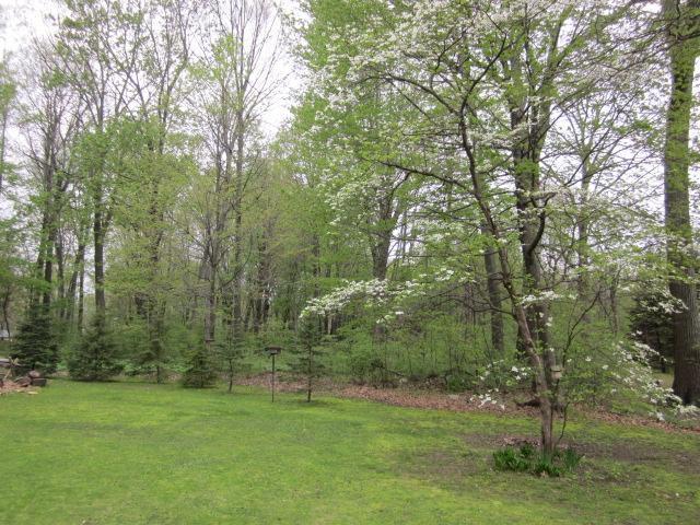 3252 Heath Road Hastings, MI 49058 - Photo 12 of 13 Additional Photo
