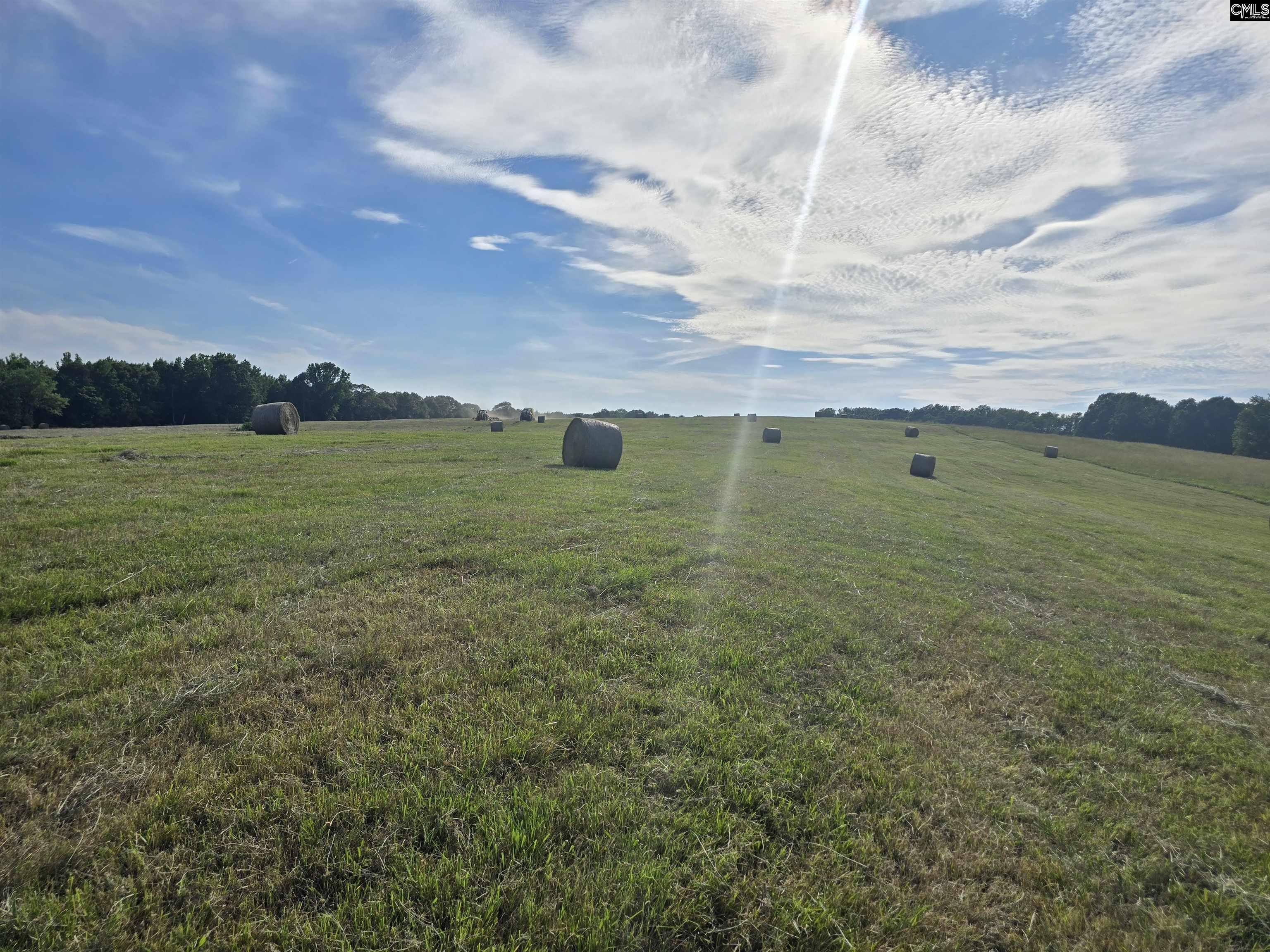 542 Pea Ridge Highway Jonesville, SC 29353 - Photo 6 of 72