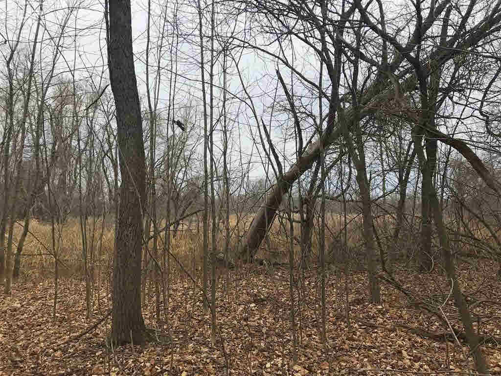 0 East Bennington Road Owosso, MI 48867 - Photo 2 of 5