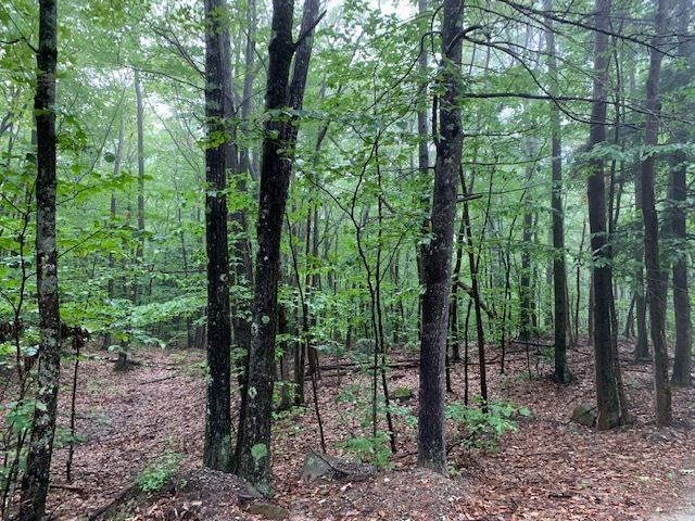 102 Pond View Road Weare, NH 03281 - Photo 1 of 7
