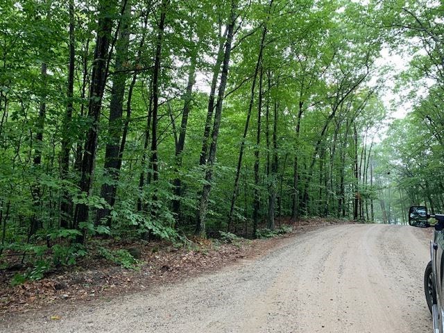 102 Pond View Road Weare, NH 03281 - Photo 4 of 7