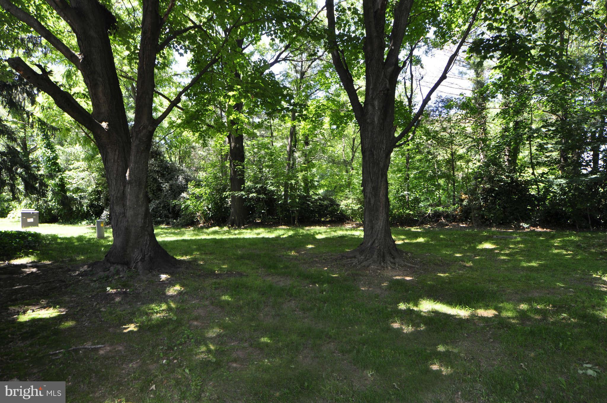 1306 Northgate Square Reston, VA 20190 - Photo 20 of 25 Exterior (Rear)