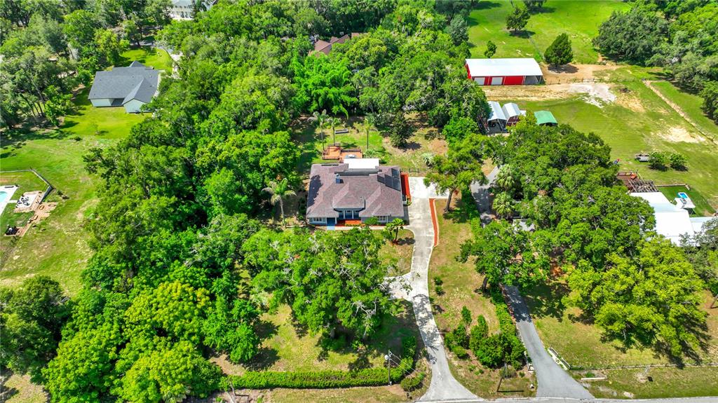 36510 St Joe Road Dade City, FL 33525 - Photo 45 of 47