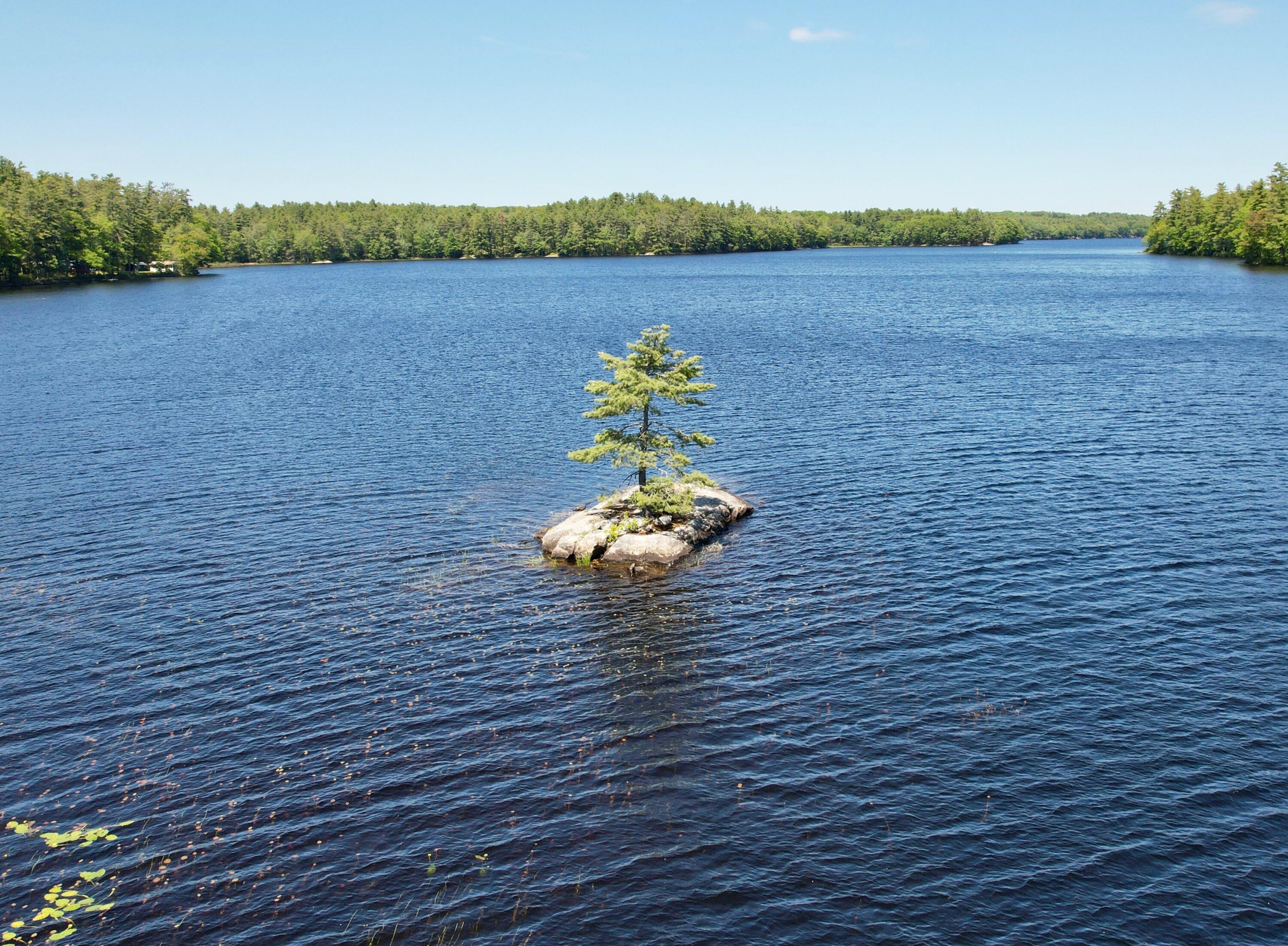 102 Trask Lane Jefferson, ME 04348 - Photo 63 of 63 dji_fly_20260603_133218_112_178093306767