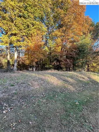 a view of dirt yard with a trees