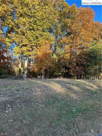 a view of a field with trees in the background
