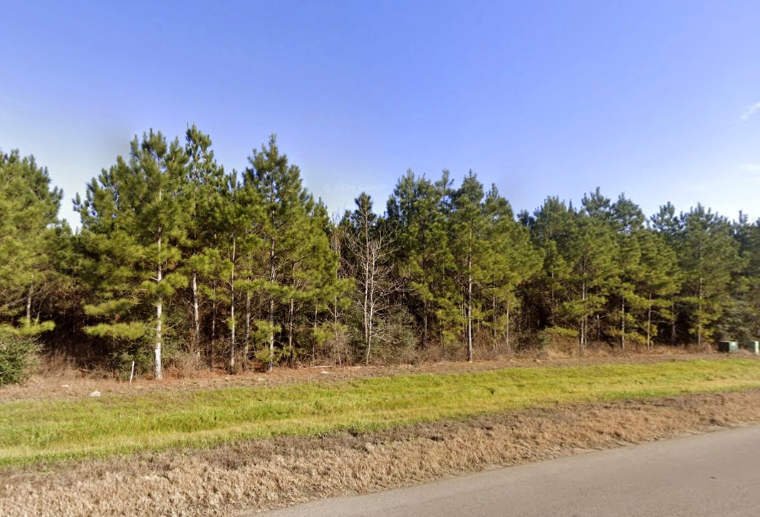 15751 Ridge Rock Road Willis, TX 77378 - Photo 18 of 19
