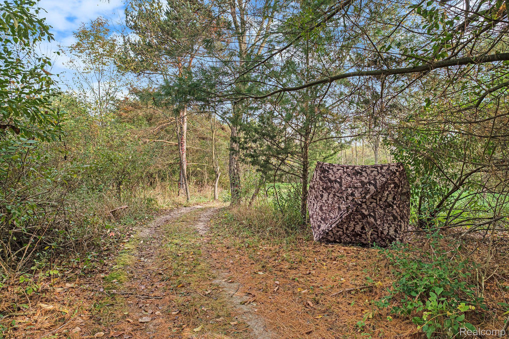 10480 Foley Road Fenton, MI 48430 - Photo 62 of 73 Nature at its finest