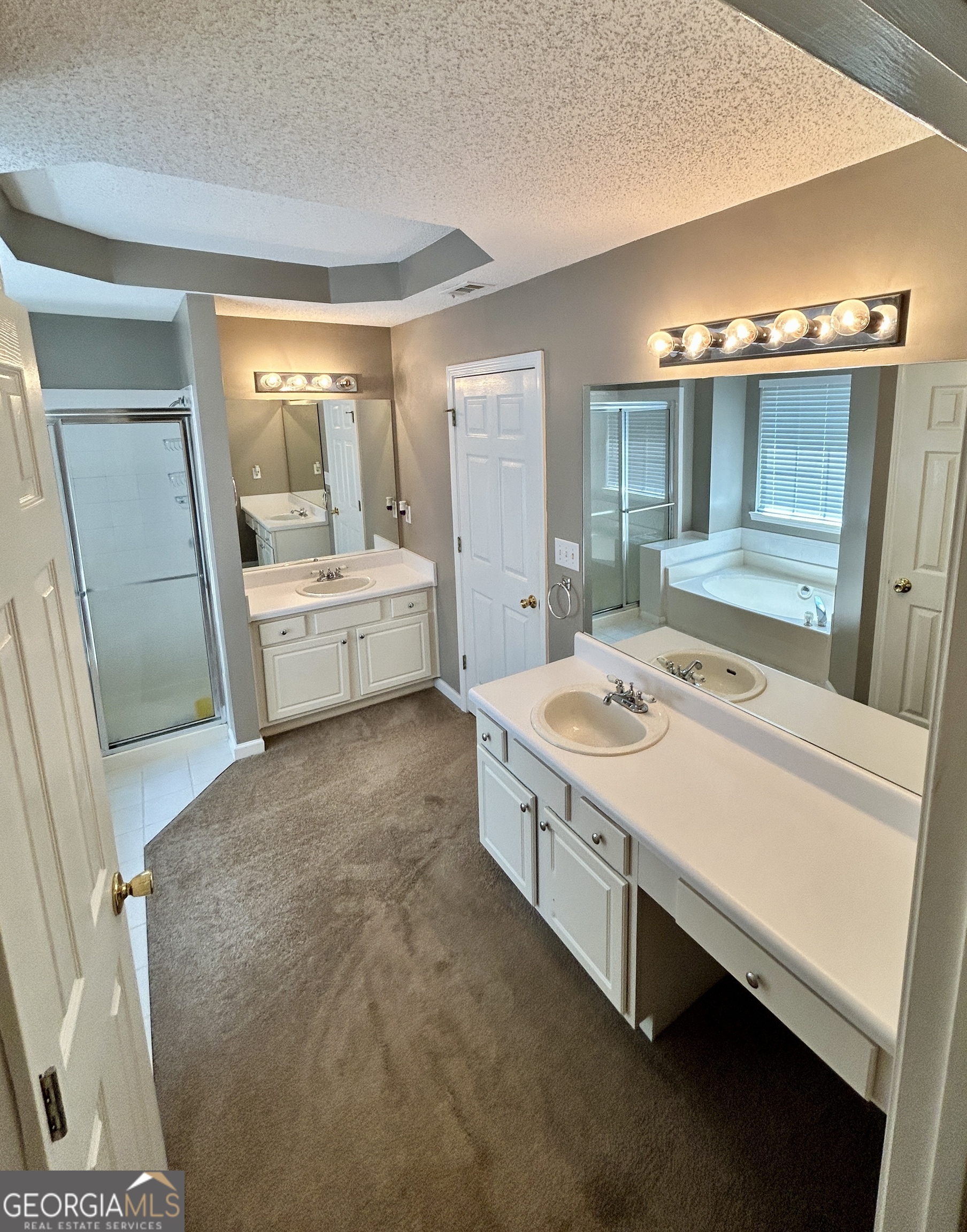 98 Pheasant Ridge Newnan, GA 30265 - Photo 11 of 23 a bathroom with a tub sink and mirror