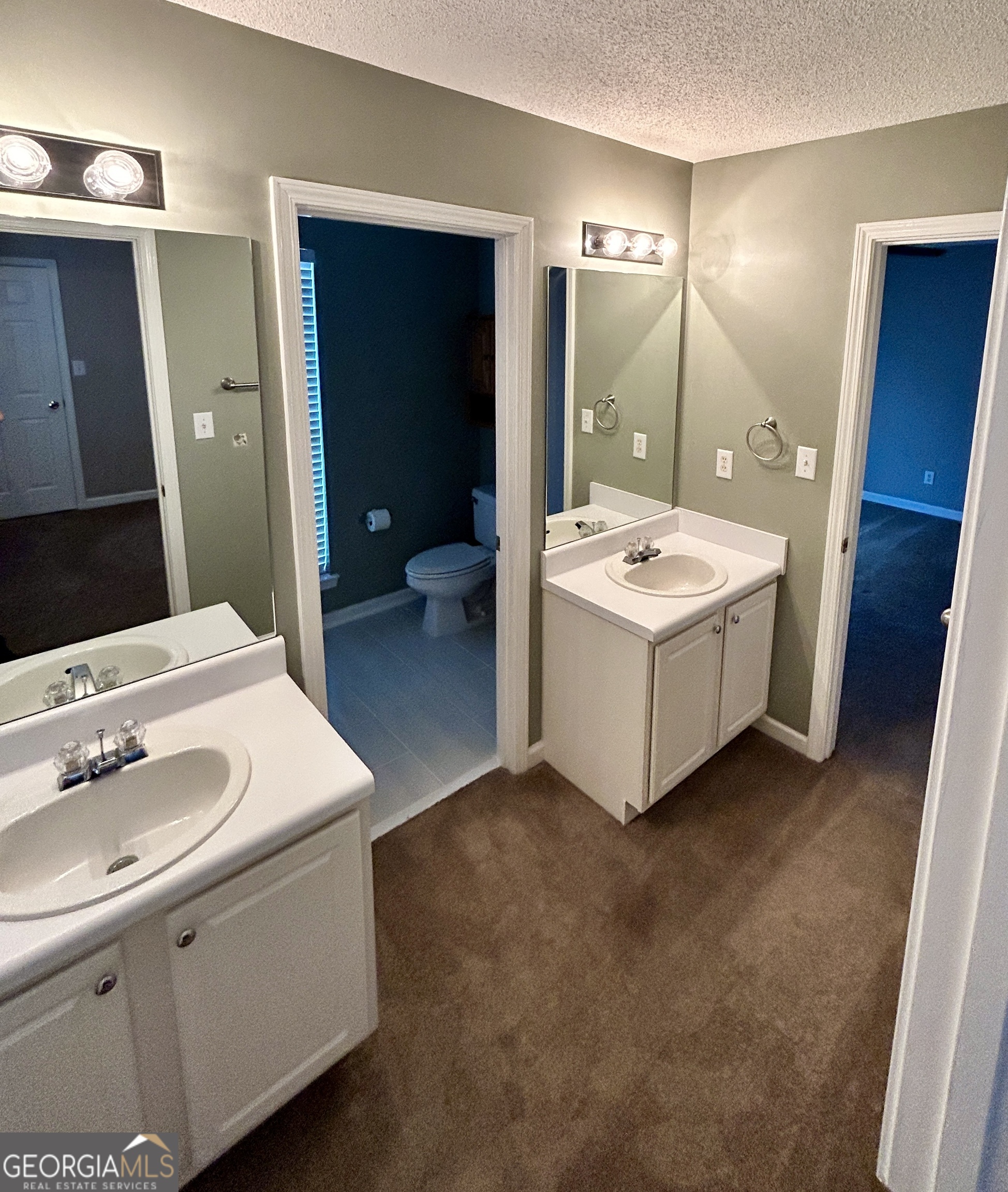98 Pheasant Ridge Newnan, GA 30265 - Photo 12 of 23 a bathroom with a sink and a mirror