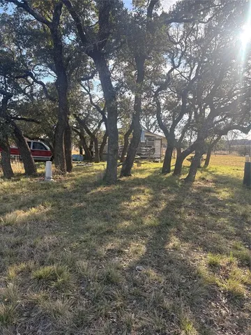a view of yard with trees