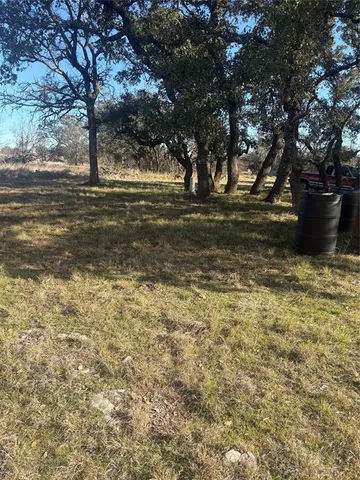 a view of a yard with a tree