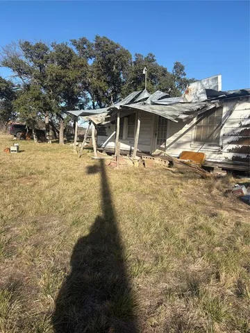 a view of beach and tree