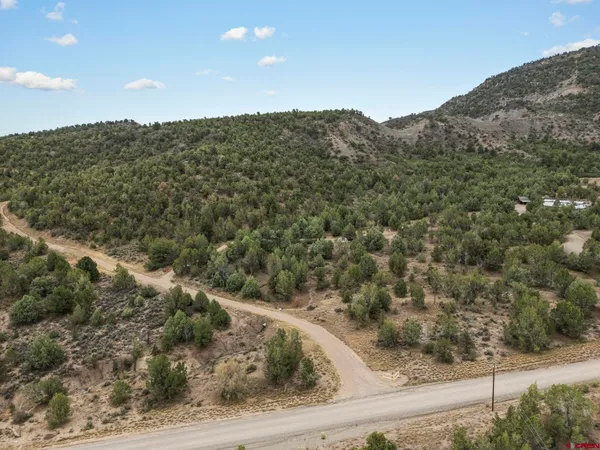a view of a dry yard with mountains