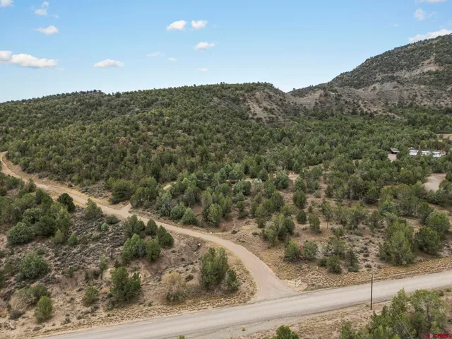 a view of a dry yard with mountains