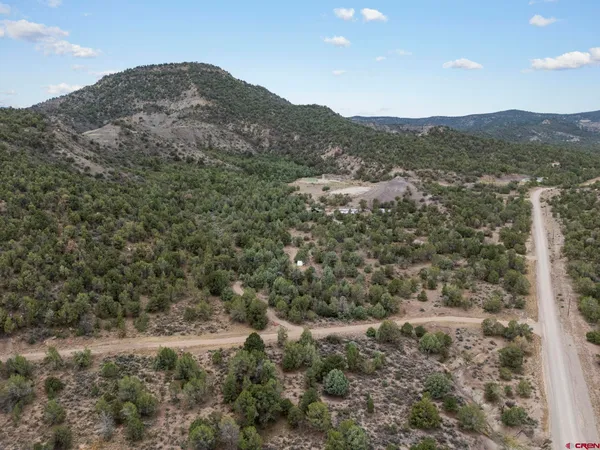 a view of a mountain in the distance in a field