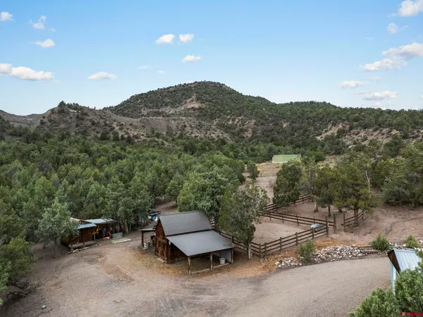 a view of a terrace with a garden and a table