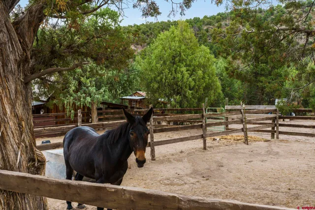 a view of outdoor space with seating
