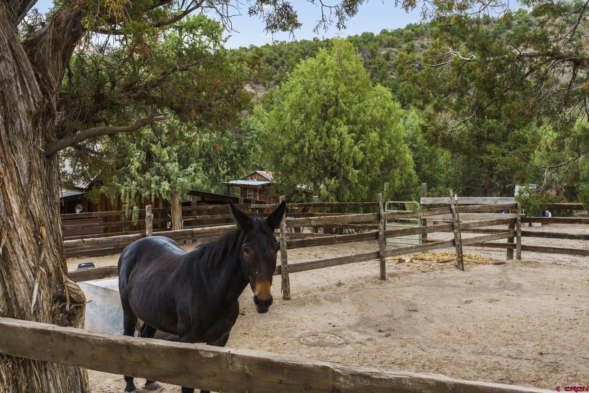2173-2113 Rancho Durango Road Durango, CO 81303 - Photo 8 of 18 a view of outdoor space with seating