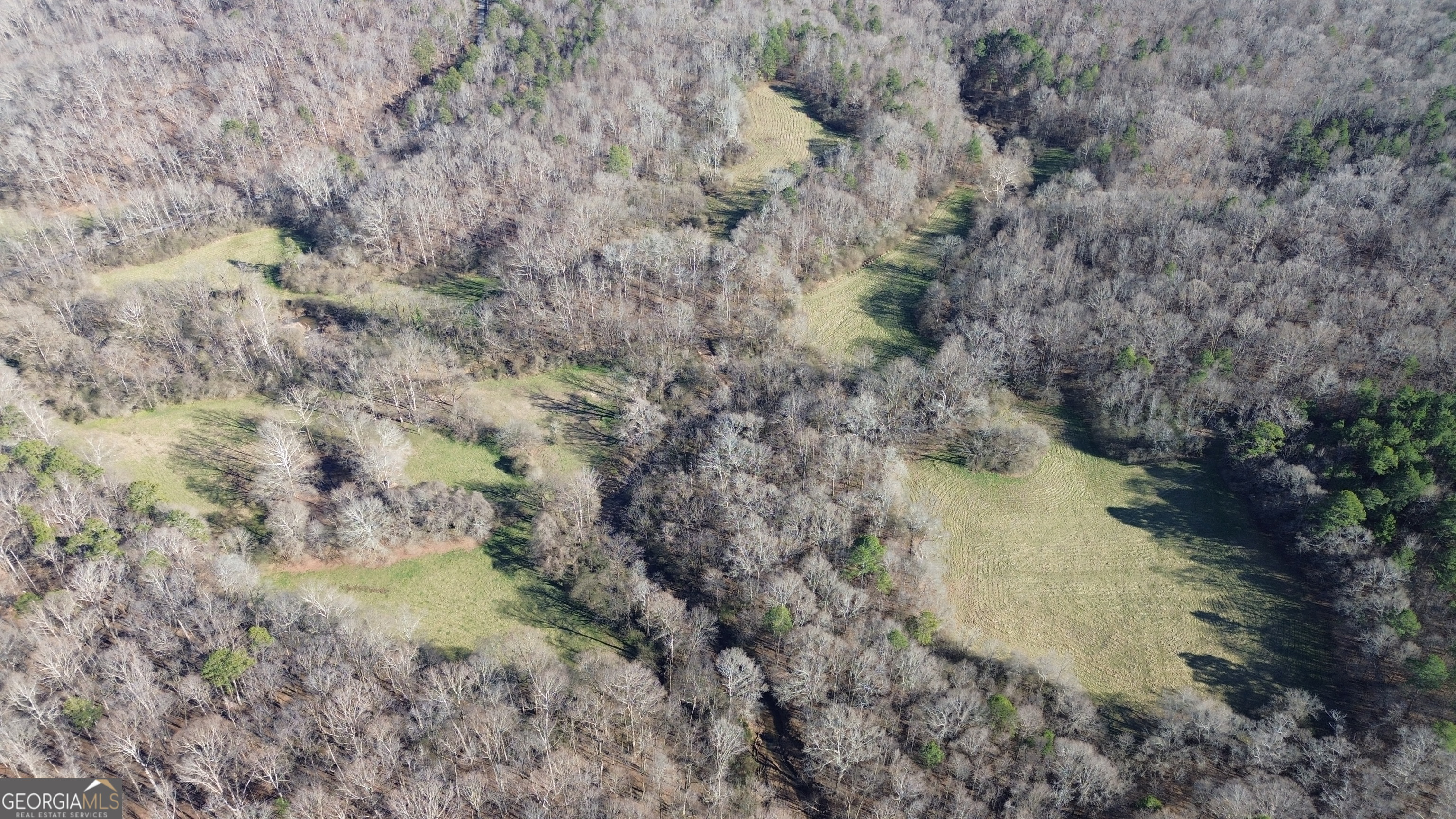 a view of a lake with a mountain