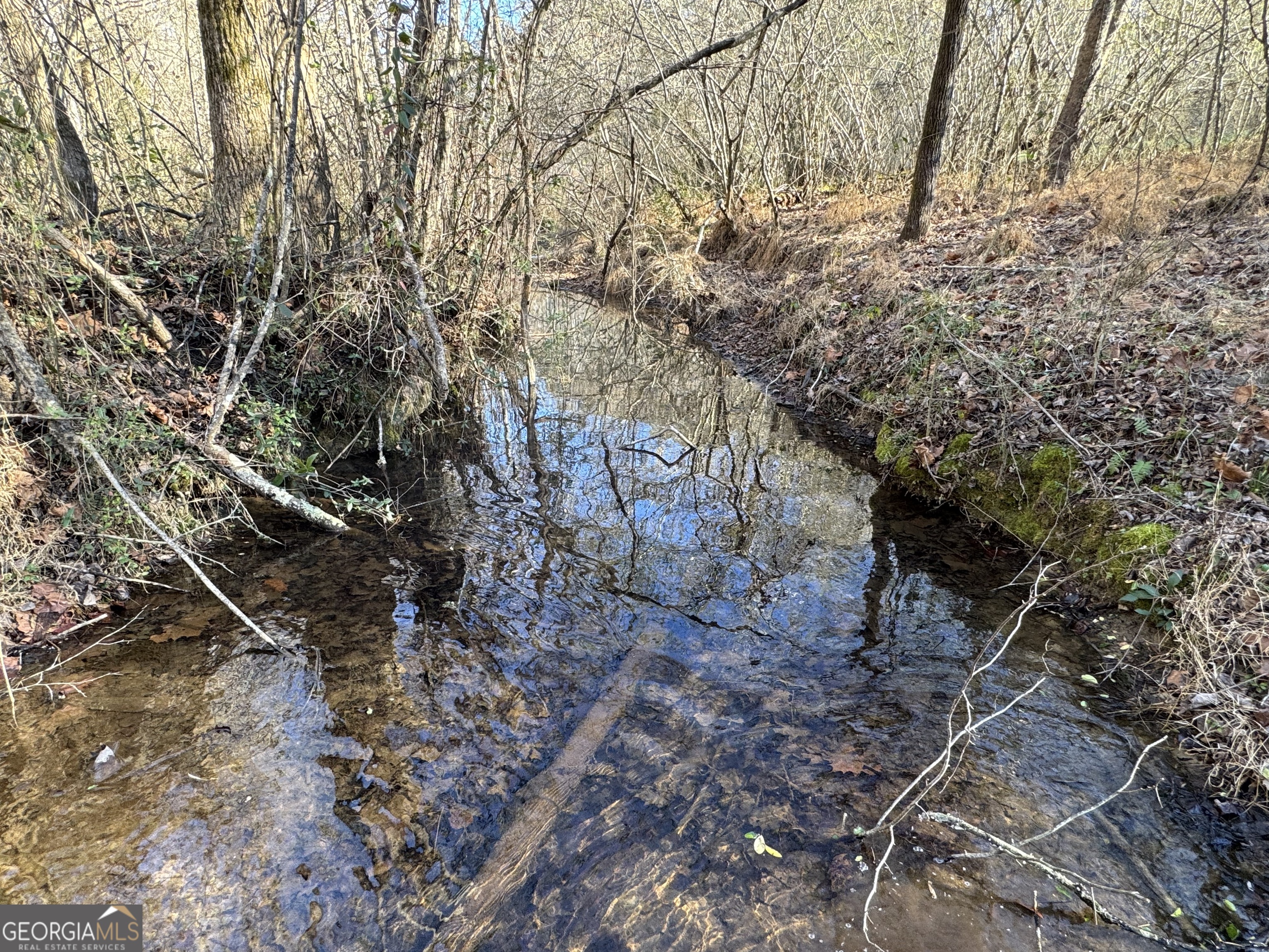 0 Yonah Homer Road Lula, GA 30554 - Photo 11 of 21 a backyard of a house with lots of green space