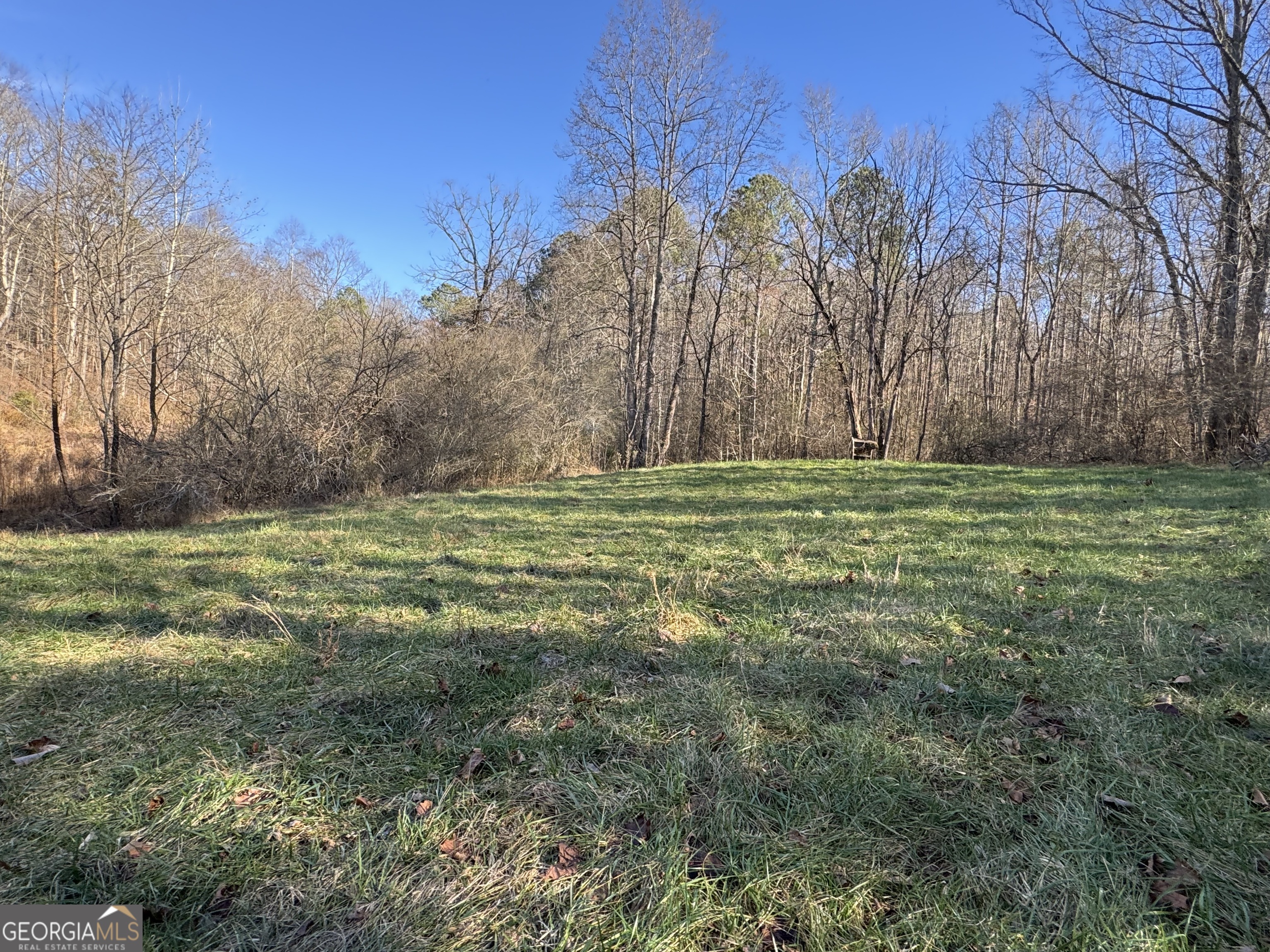 0 Yonah Homer Road Lula, GA 30554 - Photo 12 of 21 a big yard with lots of green space