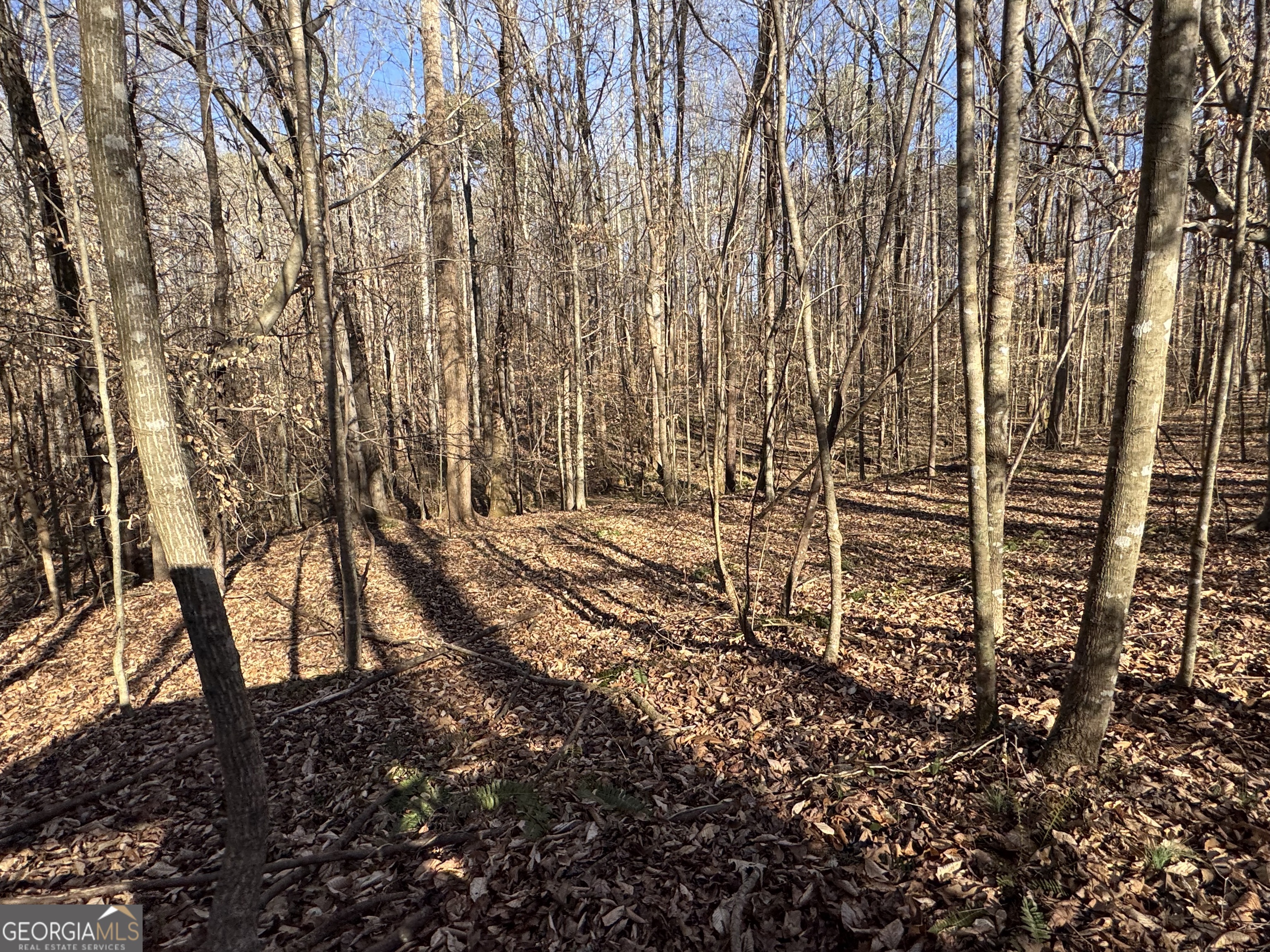 0 Yonah Homer Road Lula, GA 30554 - Photo 13 of 21