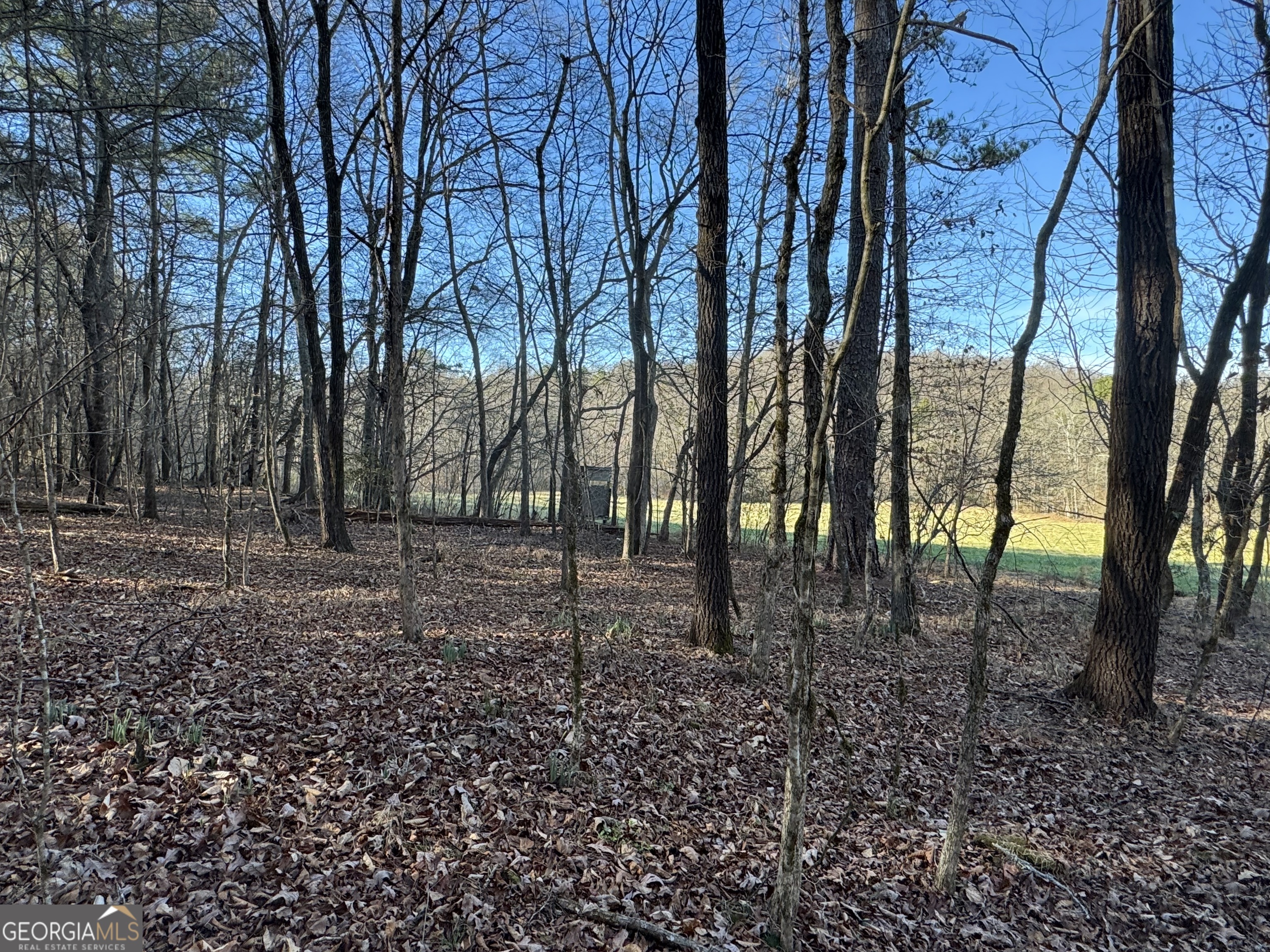 0 Yonah Homer Road Lula, GA 30554 - Photo 15 of 21 a view of house with trees all around