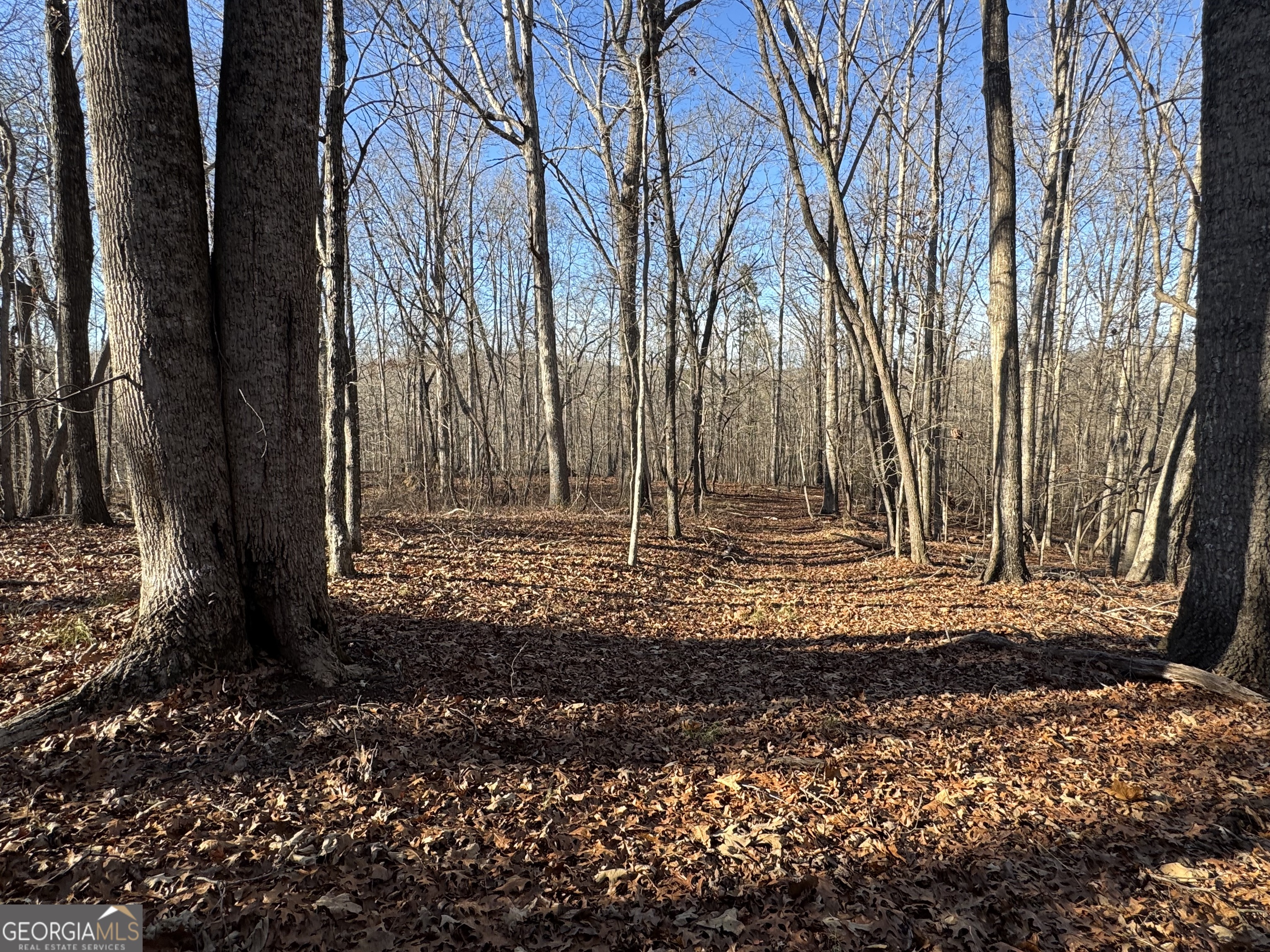 0 Yonah Homer Road Lula, GA 30554 - Photo 18 of 21 a view of house with a yard
