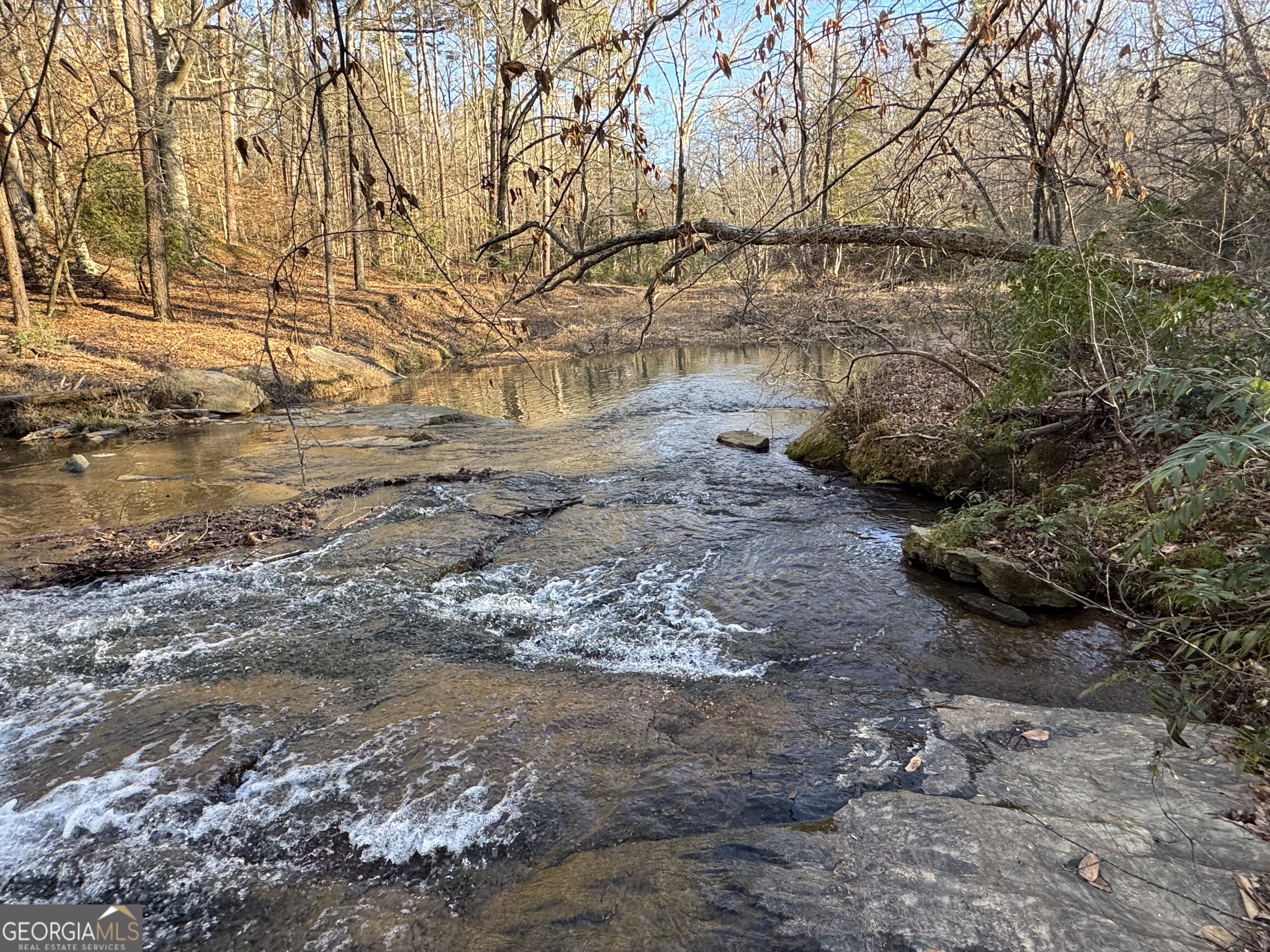0 Yonah Homer Road Lula, GA 30554 - Photo 20 of 21 a backyard of a house with lots of green space