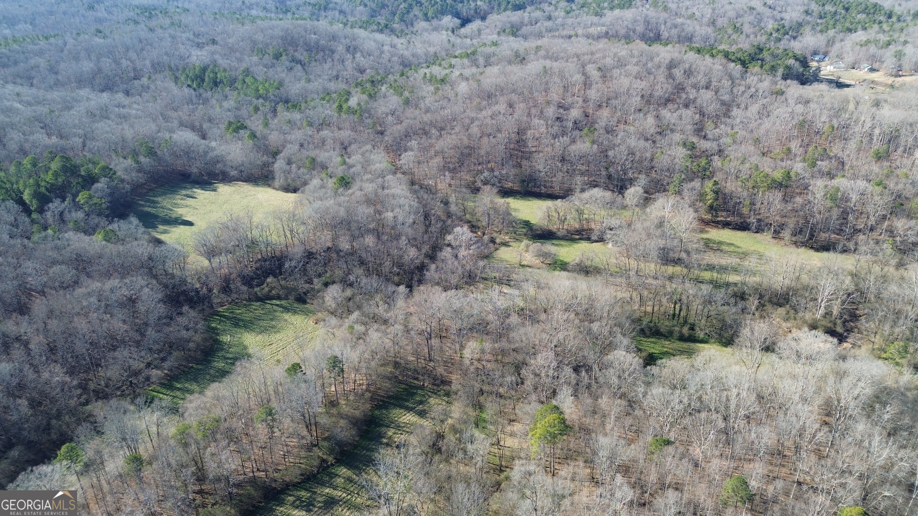 0 Yonah Homer Road Lula, GA 30554 - Photo 2 of 21 a view of a forest with trees