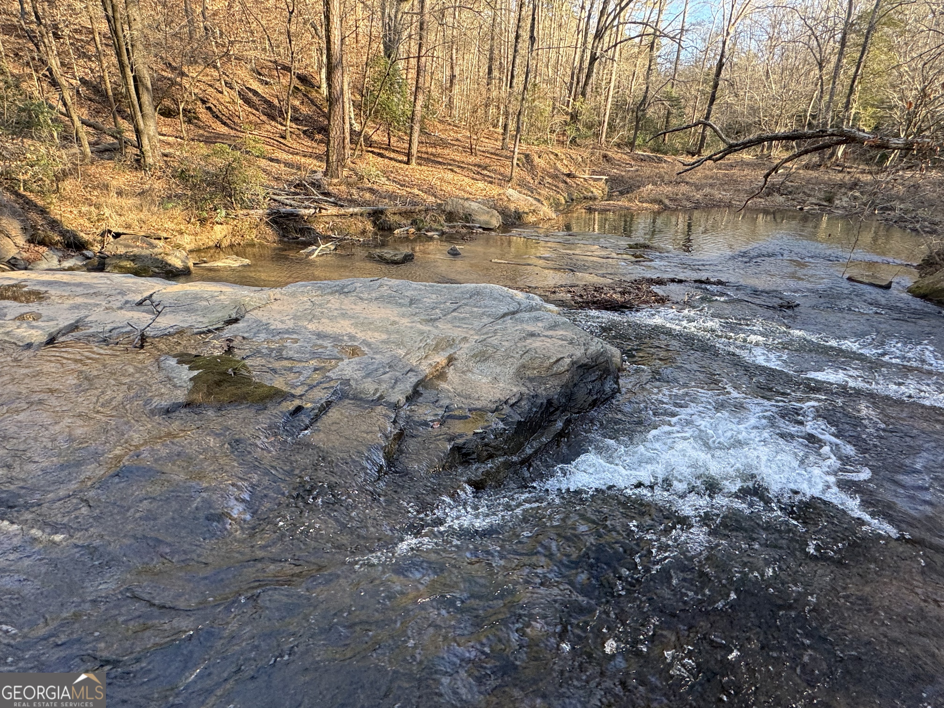 0 Yonah Homer Road Lula, GA 30554 - Photo 21 of 21 a view of a backyard of the house
