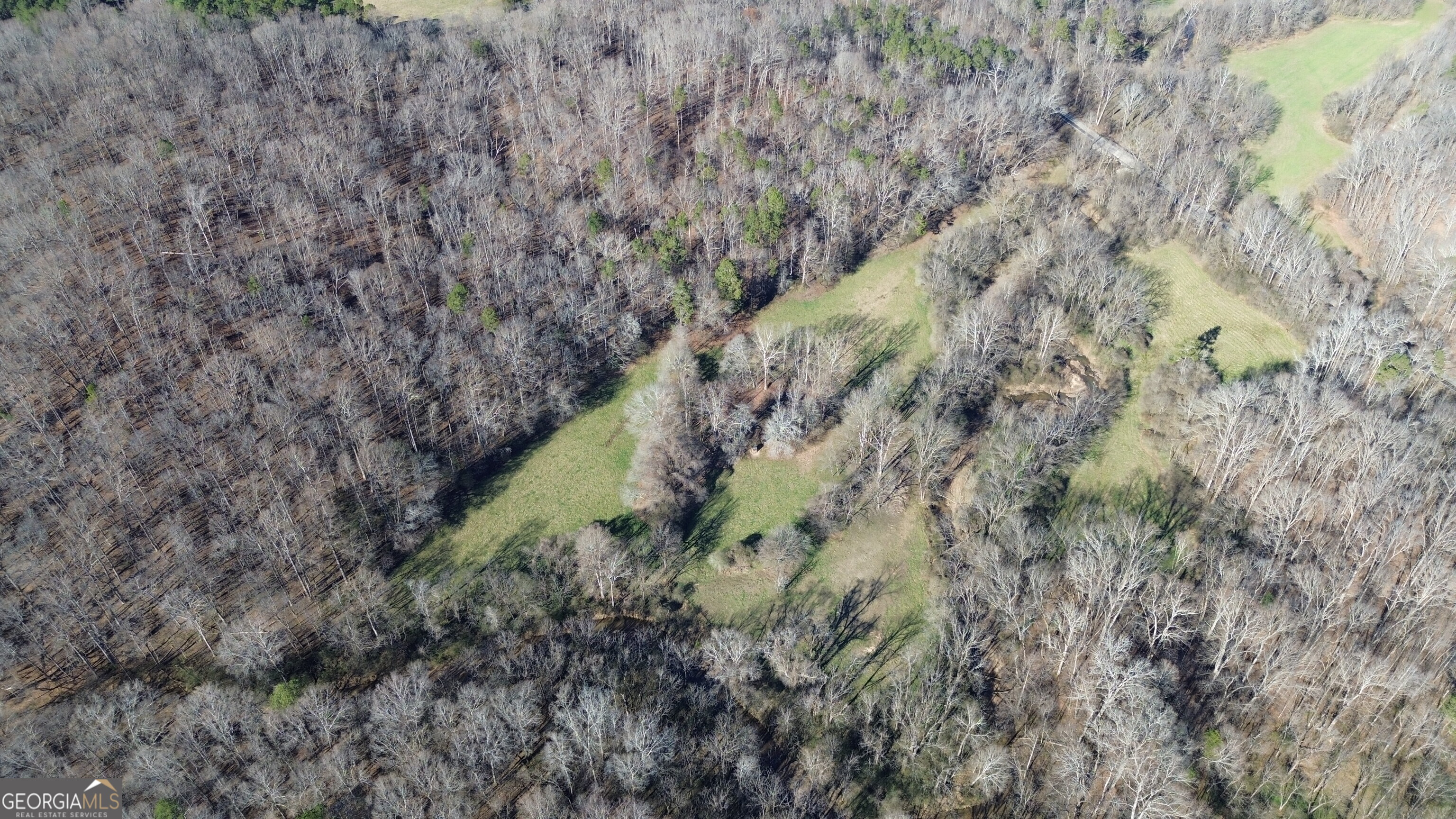 0 Yonah Homer Road Lula, GA 30554 - Photo 3 of 21 a view of a forest with a tree