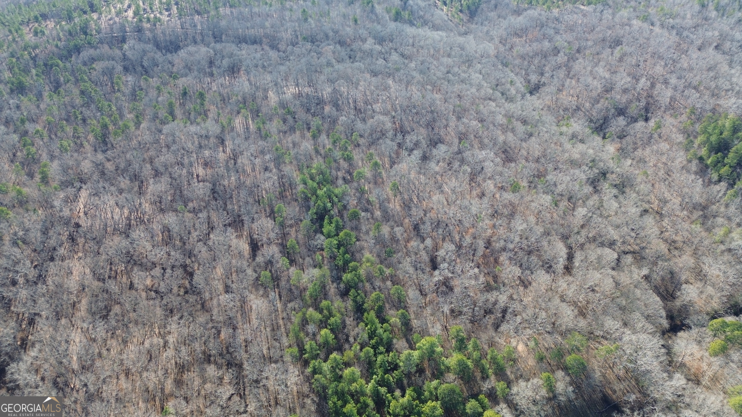 0 Yonah Homer Road Lula, GA 30554 - Photo 5 of 21 a close up of a field