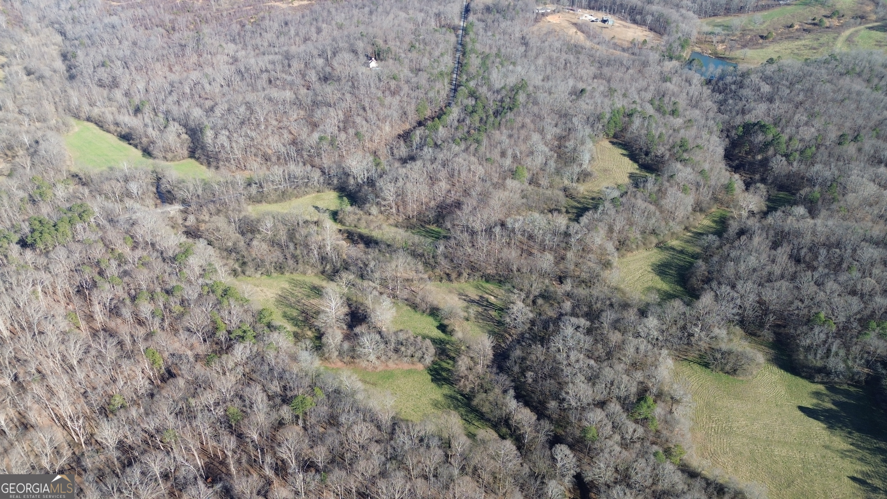 0 Yonah Homer Road Lula, GA 30554 - Photo 6 of 21 a view of a forest with a dry plant