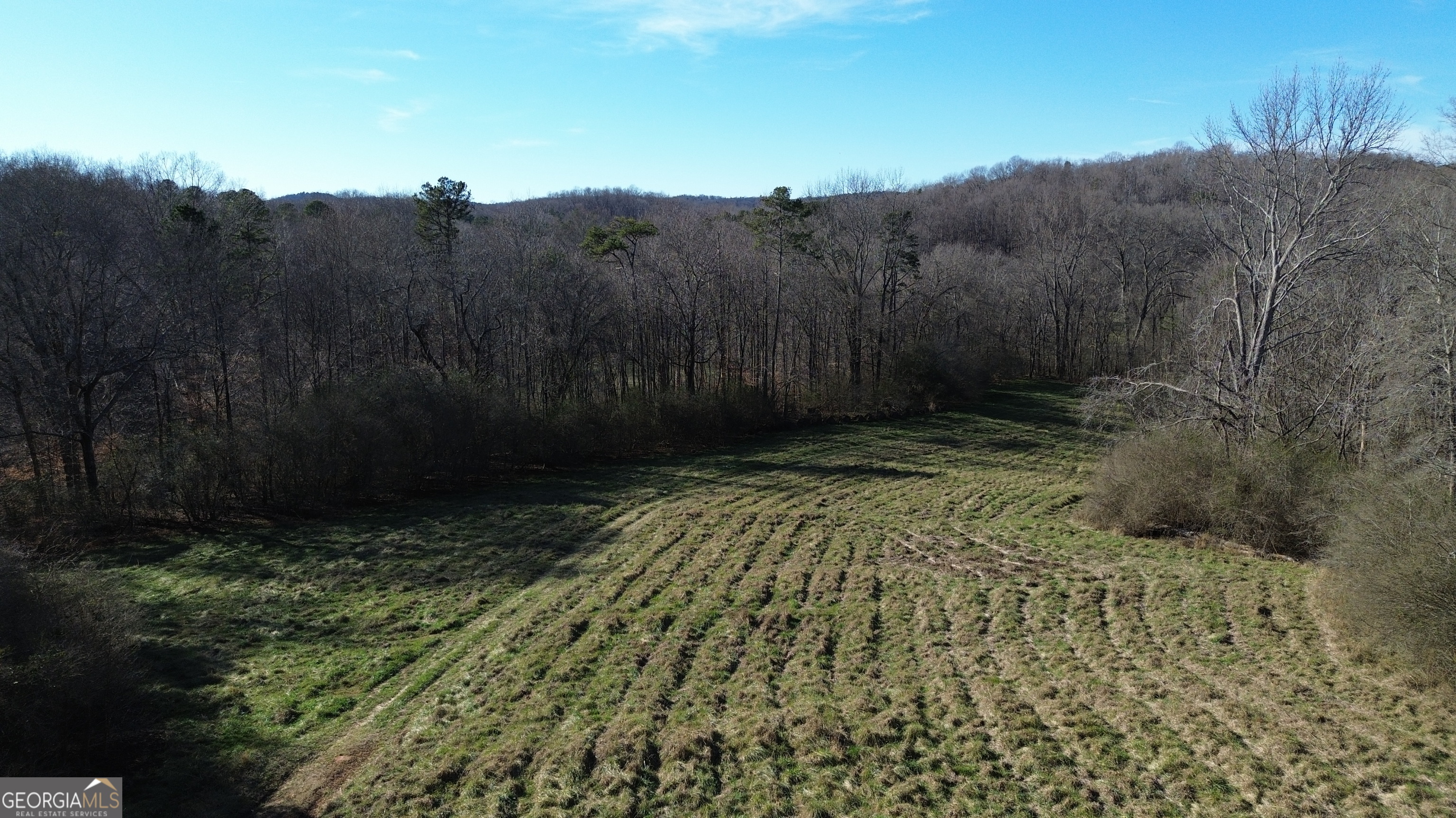 0 Yonah Homer Road Lula, GA 30554 - Photo 7 of 21 a view of backyard with green space