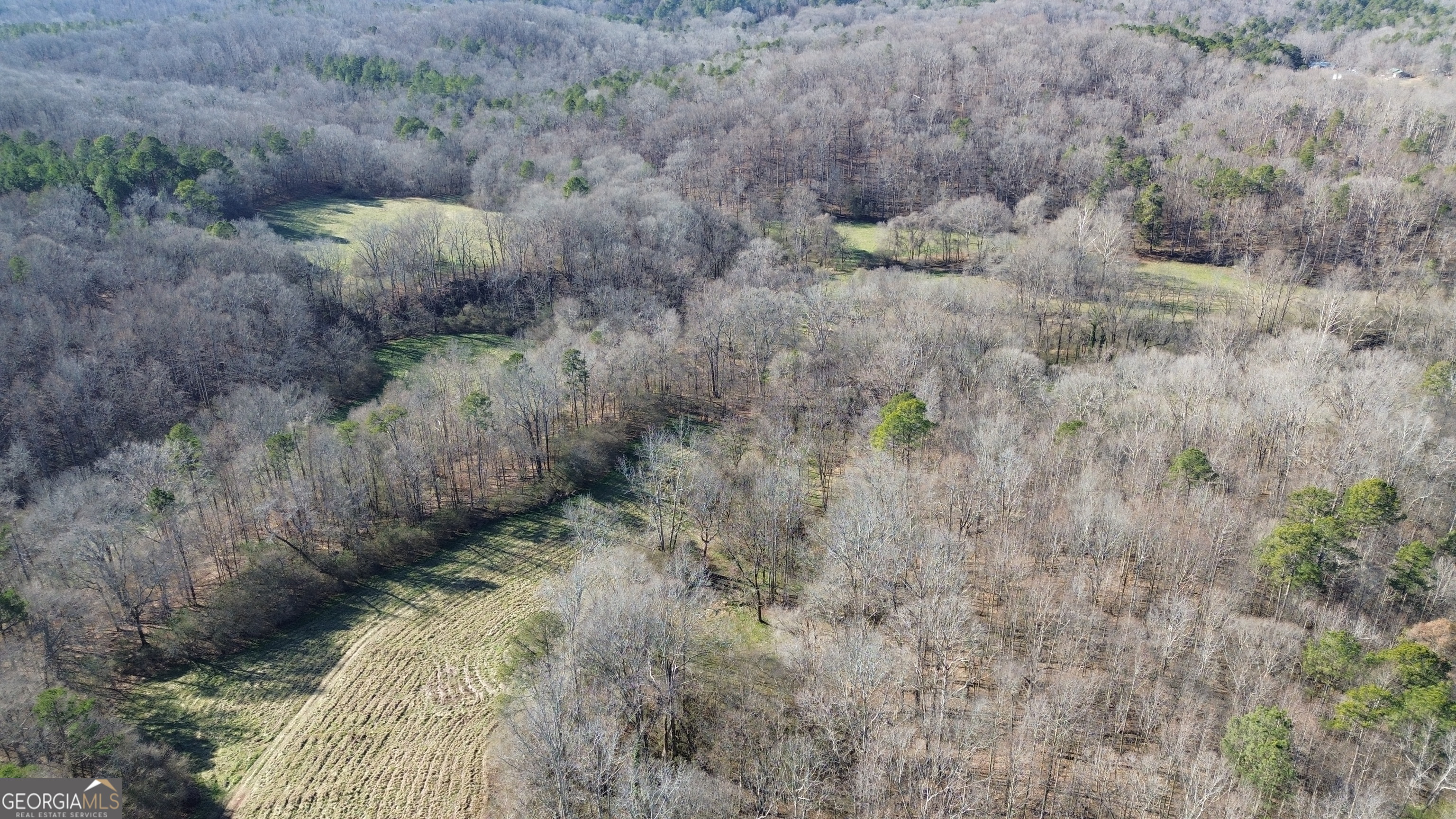 0 Yonah Homer Road Lula, GA 30554 - Photo 9 of 21 a close up of a dry grass