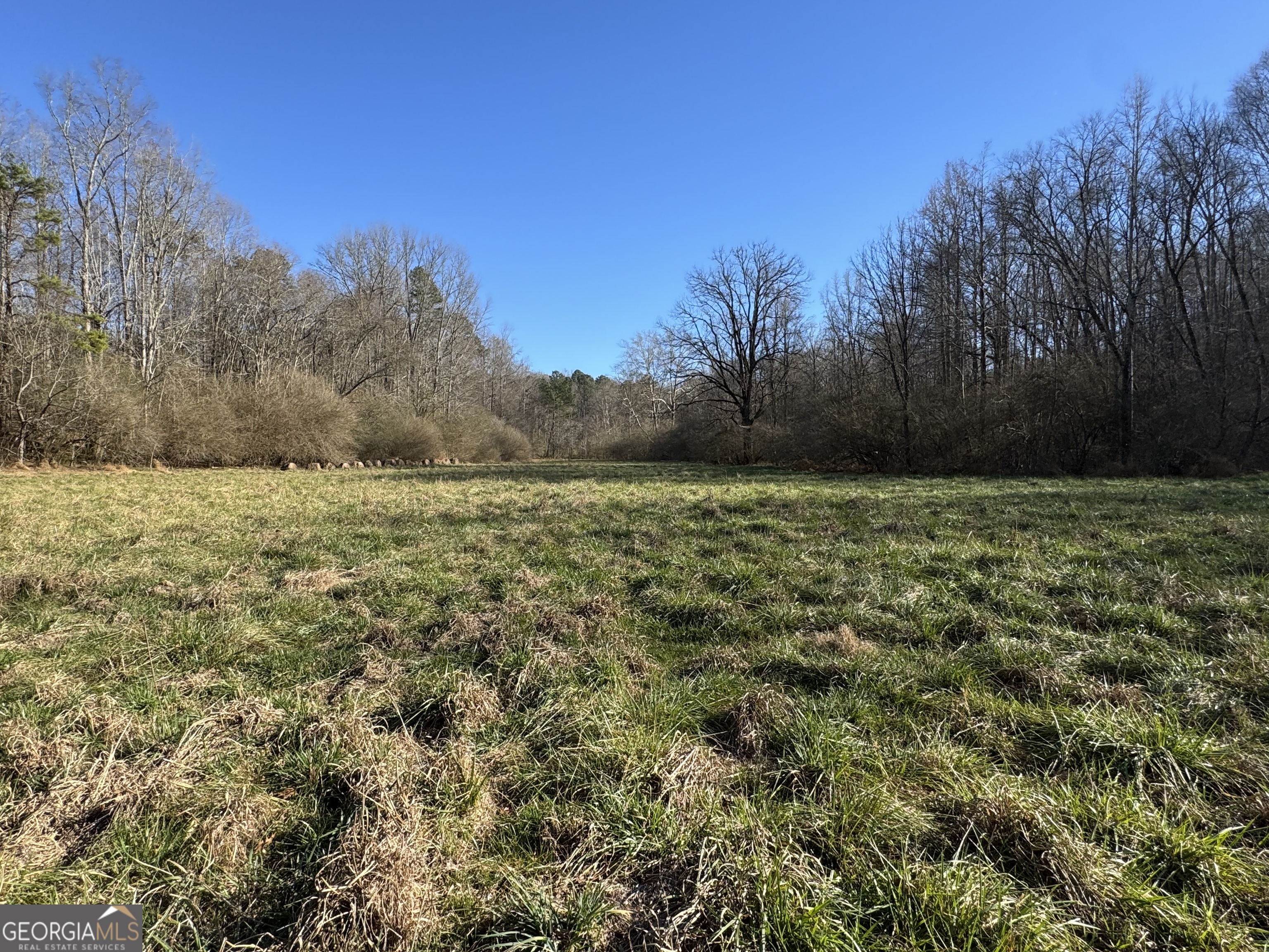 0 Yonah Homer Road Lula, GA 30554 - Photo 10 of 21 a view of a field with an ocean