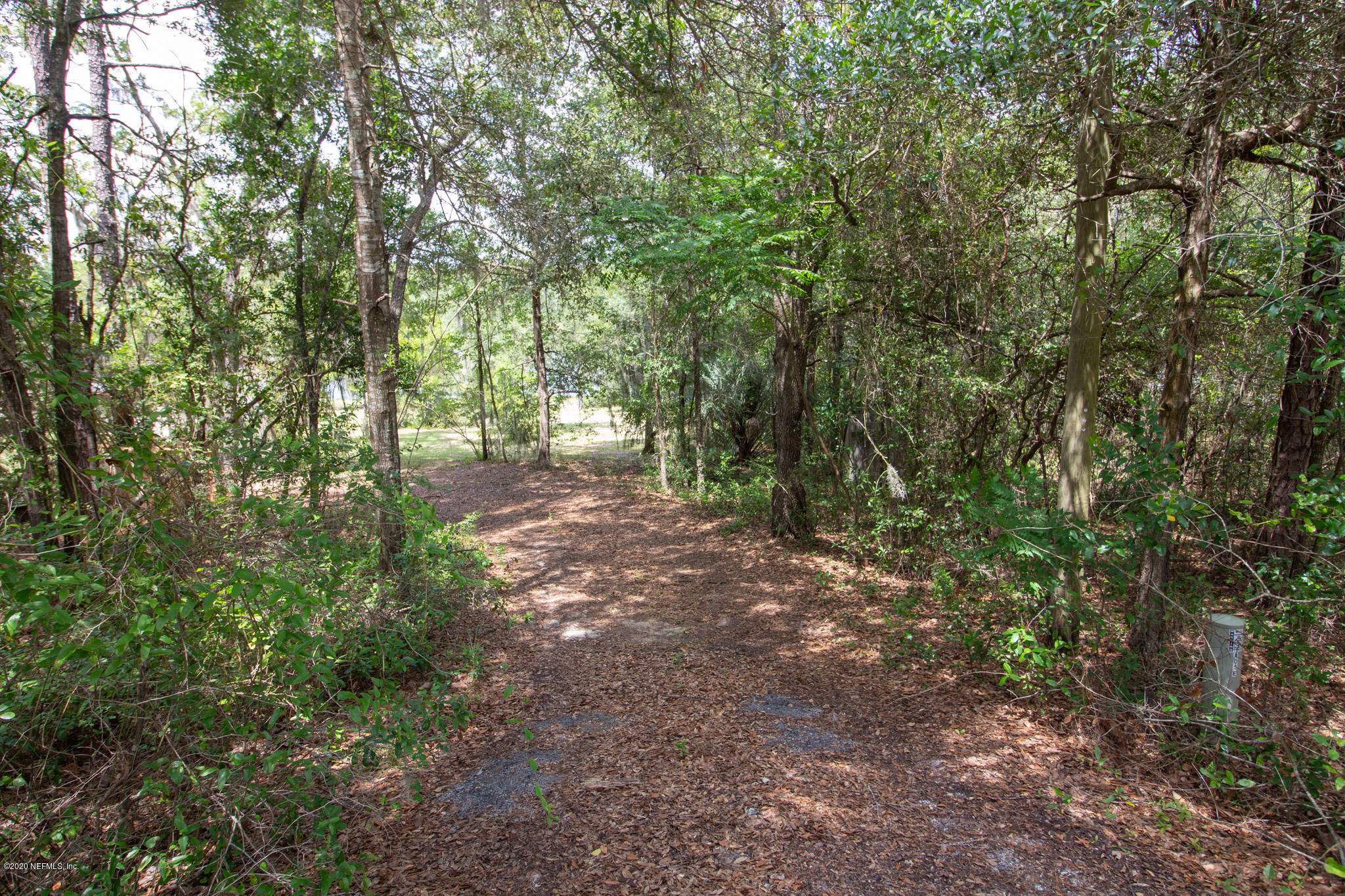 6988 Deer Springs Road Keystone Heights, FL 32656 - Photo 2 of 10 a view of outdoor space and trees