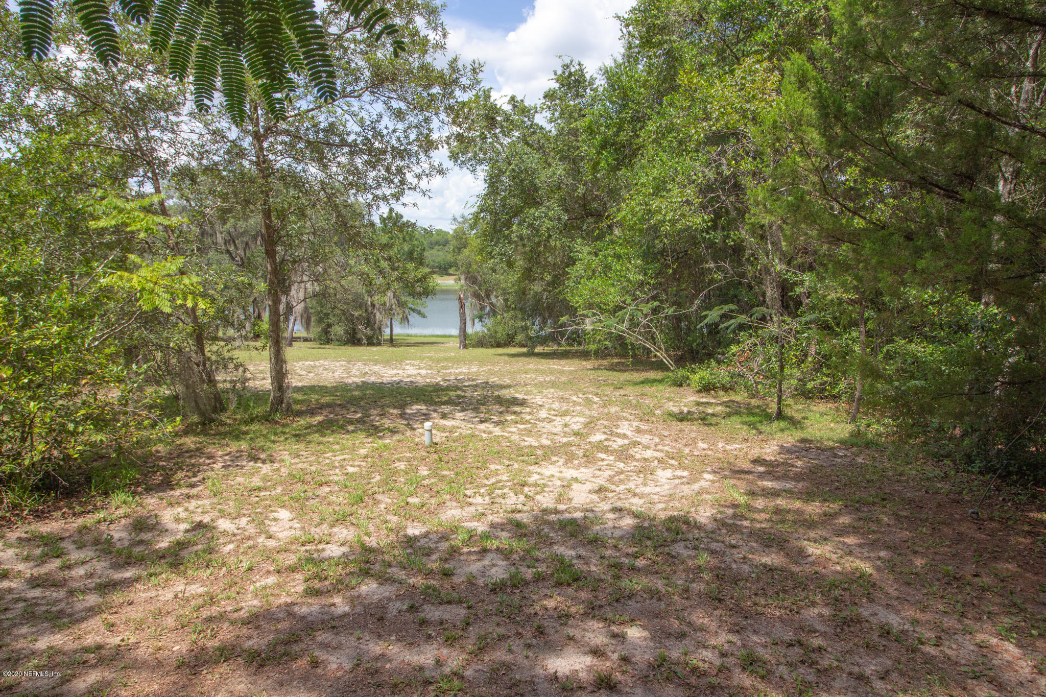 6988 Deer Springs Road Keystone Heights, FL 32656 - Photo 3 of 10 a view of a yard with a tree