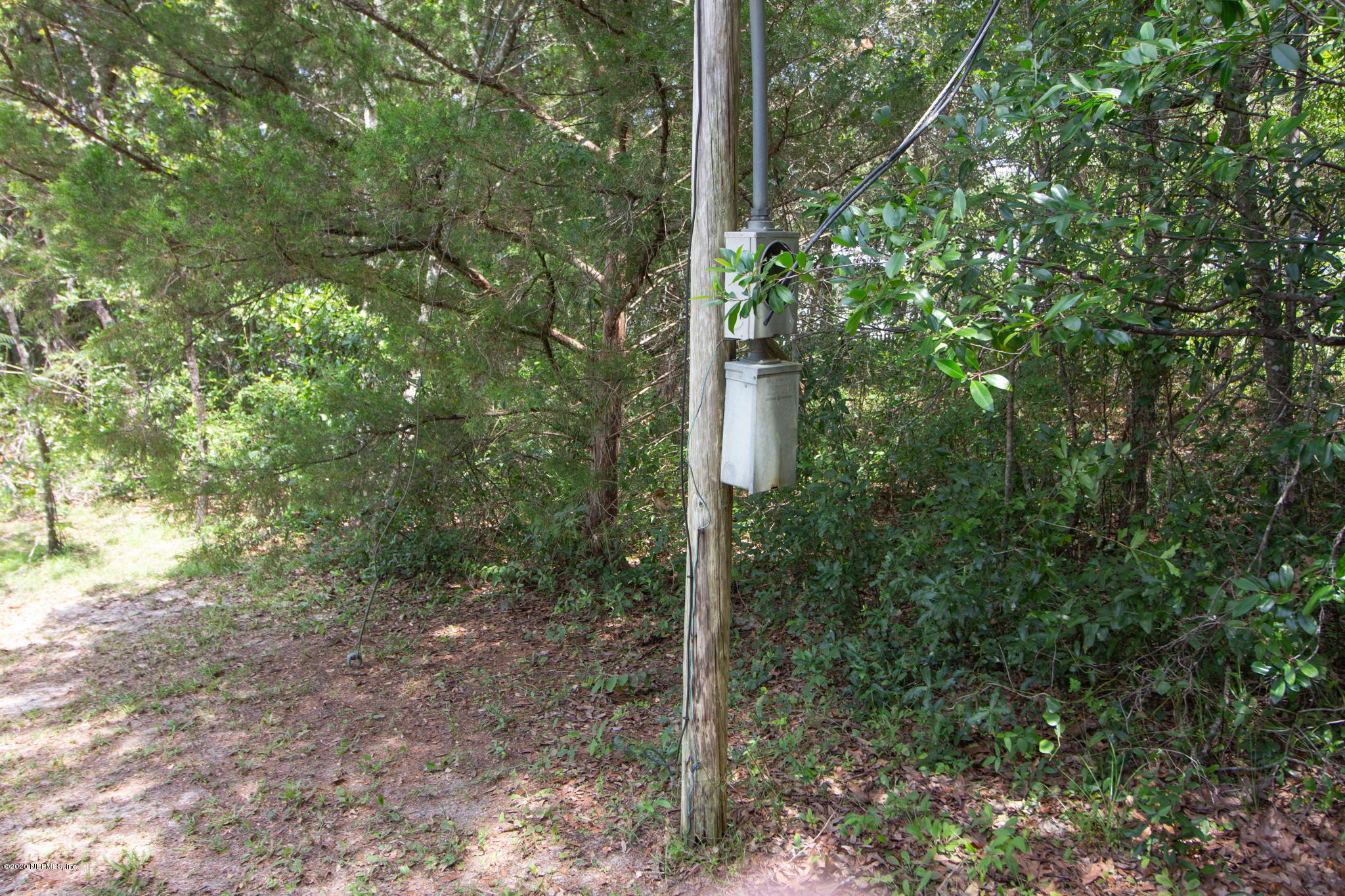 6988 Deer Springs Road Keystone Heights, FL 32656 - Photo 7 of 10 a view of a forest with trees