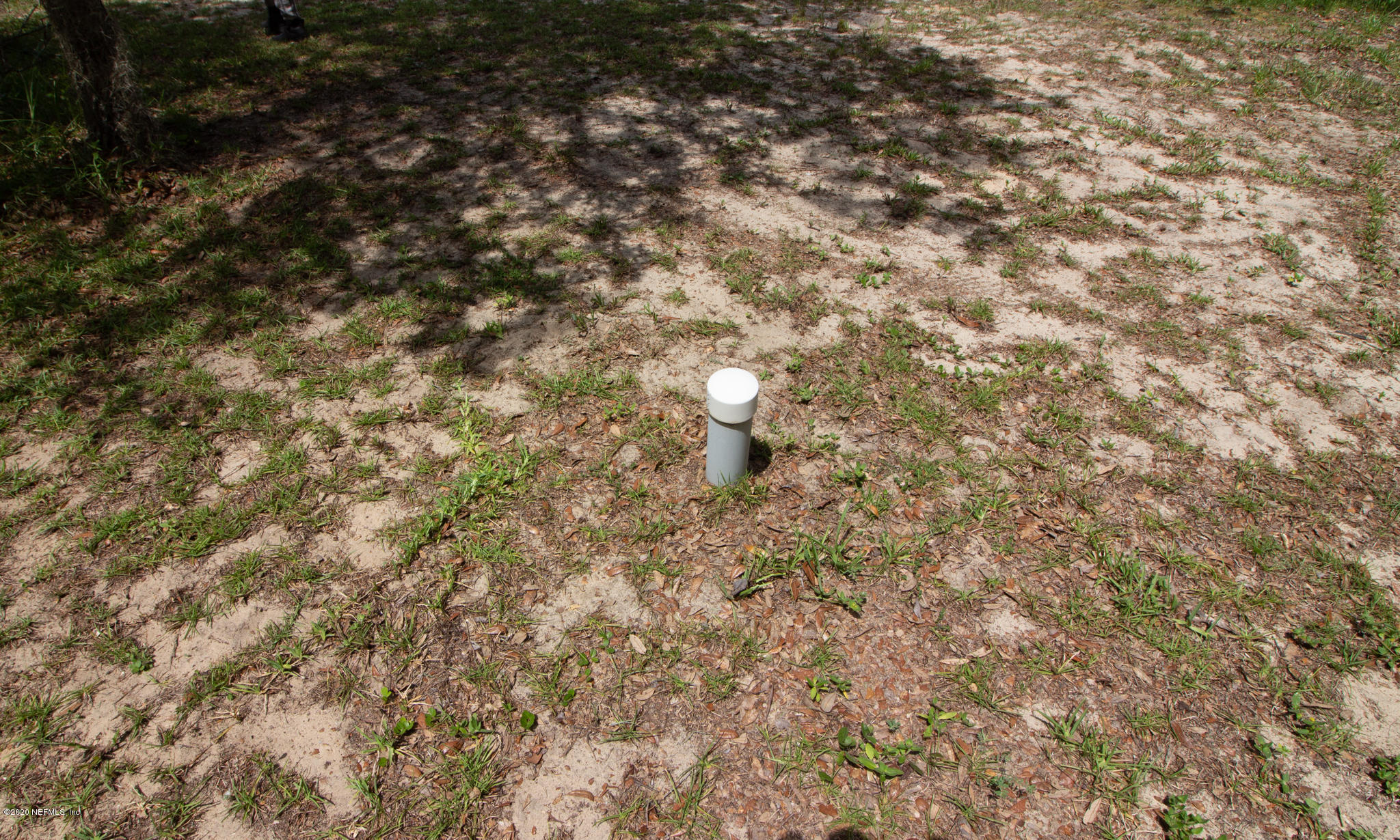 6988 Deer Springs Road Keystone Heights, FL 32656 - Photo 8 of 10 a close up of a tree