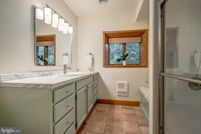 a view of a park with large trees