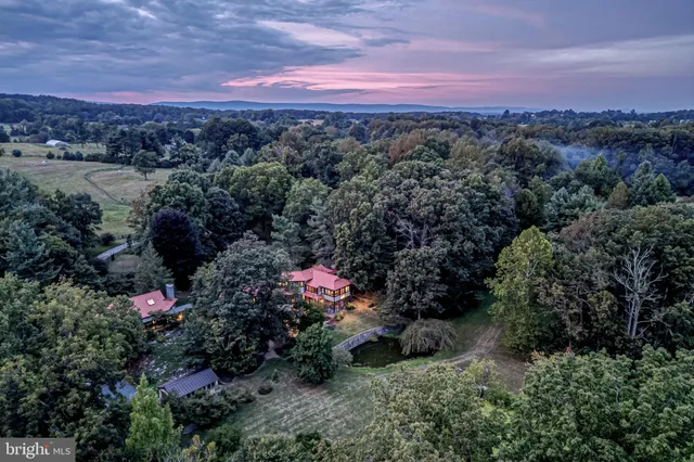 a view of a lush green forest with a building in the background