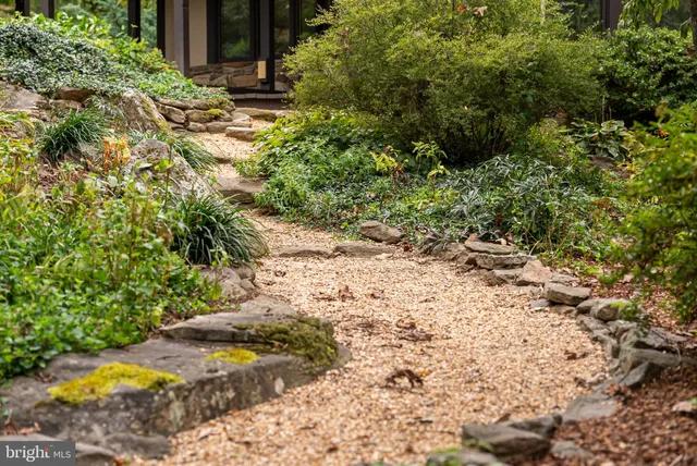 a view of a yard with plants and large trees