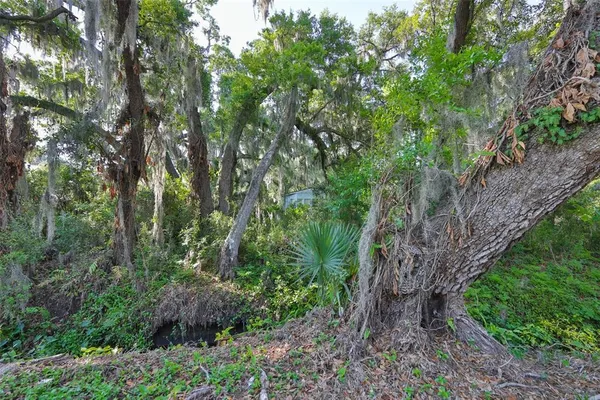 $150,000 | Undisclosed Address, Dover, FL 33527