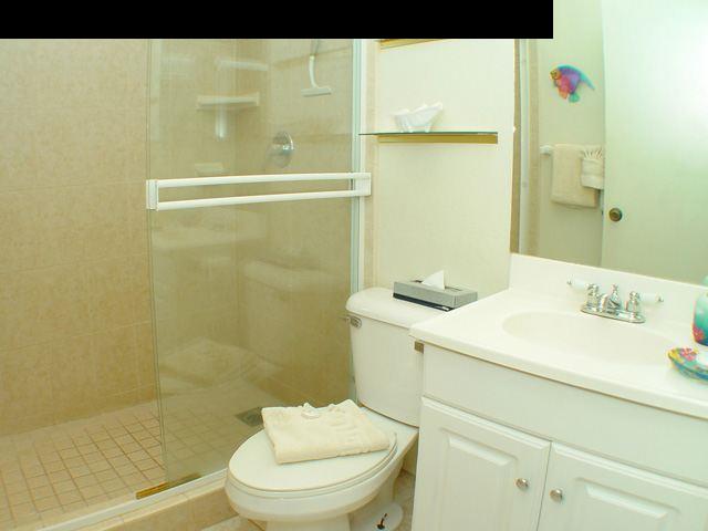 3741 Lower Honoapiilani Road, Unit 306 Lahaina, HI 96761 - Photo 8 of 30 Gallery Image 8