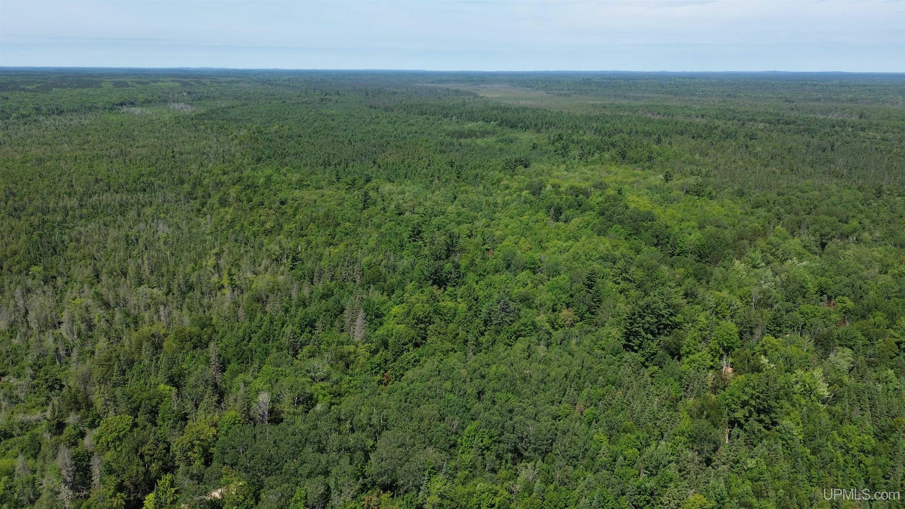 1652 Sawmill Road Manistique, MI 49854 - Photo 24 of 28